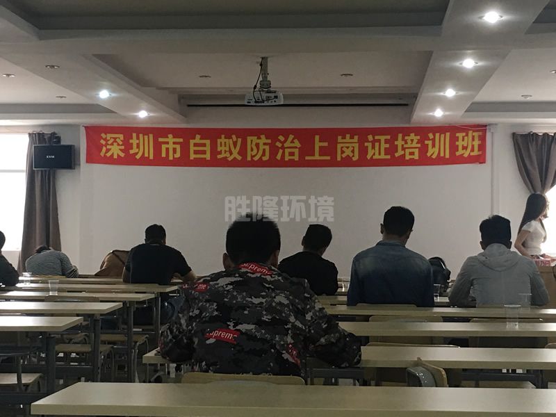 白蟻防治上崗培訓(xùn)(圖1)