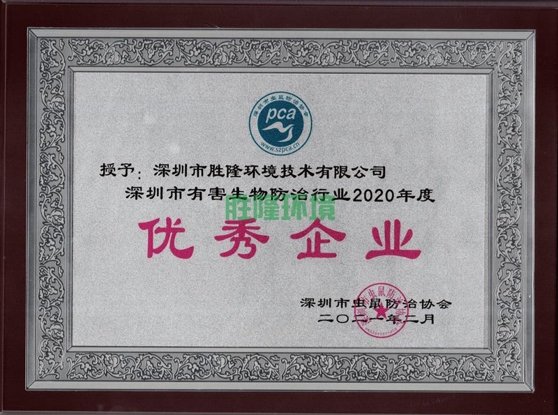 2020年度優(yōu)秀企業(yè)-蟲鼠協(xié)會