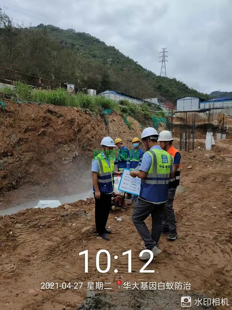 工地白蟻預(yù)防(圖2)